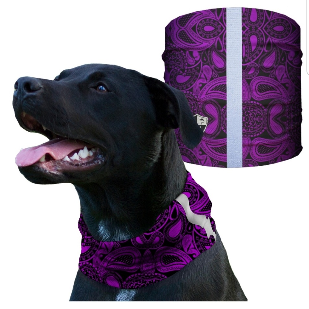 Purple Paisley Dog Shield Bandana Scarf